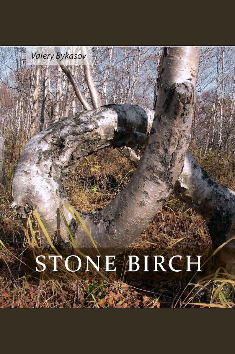 Stone Birch by Valery Bykasov Cover